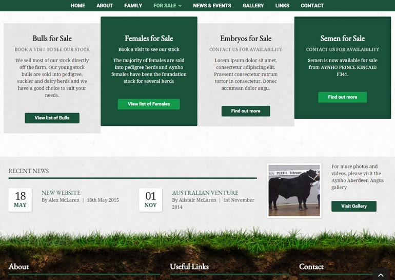 Aynho Aberdeen Angus Website - Bulls for Sale