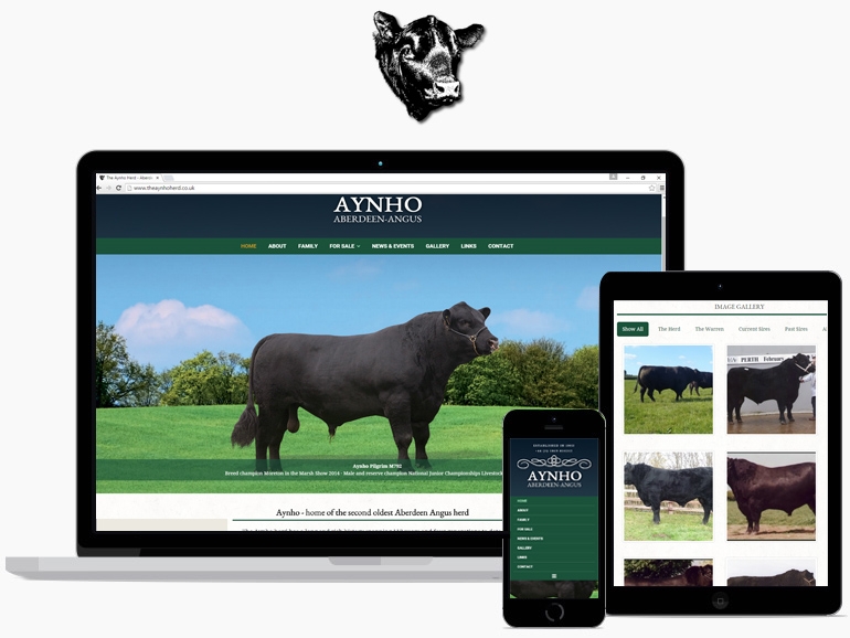 Aynho Aberdeen Angus Website - Responsive Design