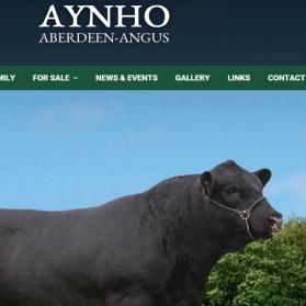 Aynho Aberdeen Angus Website